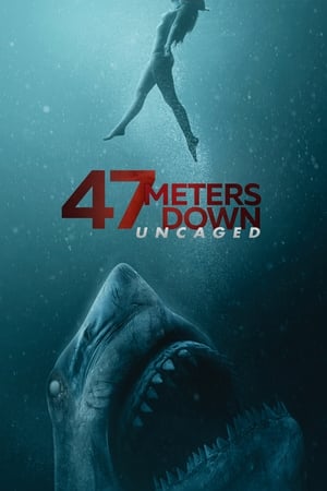 47 Meters Down: Uncaged (2019) Hindi Dual Audio 400MB HD Poster Download - filmyfly