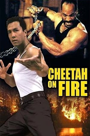 Cheetah on Fire 1992 Hindi Dual Audio [900MB] HD Poster Download - filmyfly
