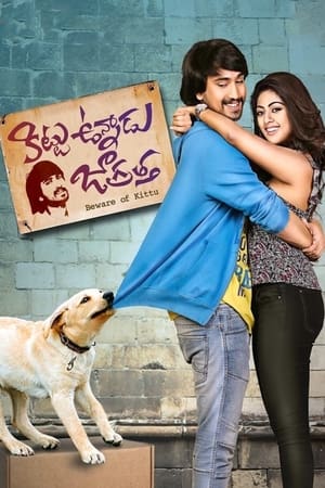 Kittu Unnadu Jagratha 2017 Hindi Dual Audio [1.1GB] HD Poster Download - filmyfly
