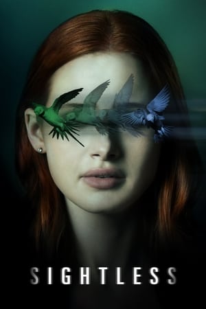 Sightless 2020 Hindi Dual Audio 300MB HD Poster Download - filmyfly
