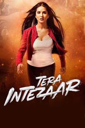 Tera Intezaar 2017 Movie [850MB] HD Poster Download - filmyfly