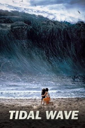 Tidal Wave (2009) Hindi Dual Audio [1GB] ESubs HD Poster Download - filmyfly
